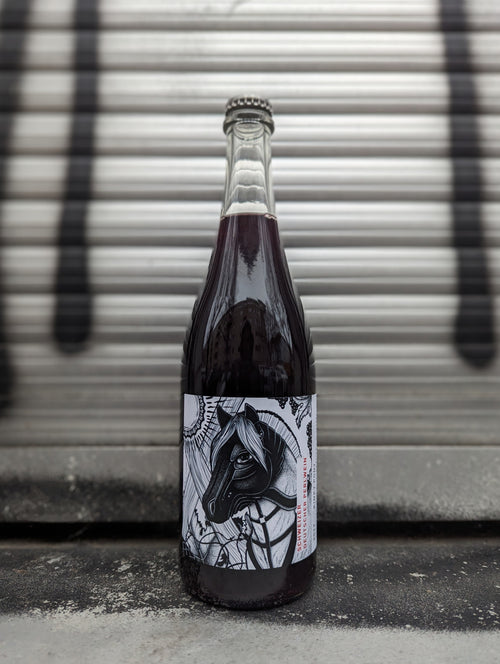 Sparkling red wine bottle with a bold, artistic label featuring a stylized horse illustration in black and white, accented with intricate patterns. Photographed against a metallic shutter backdrop, enhancing the urban aesthetic.