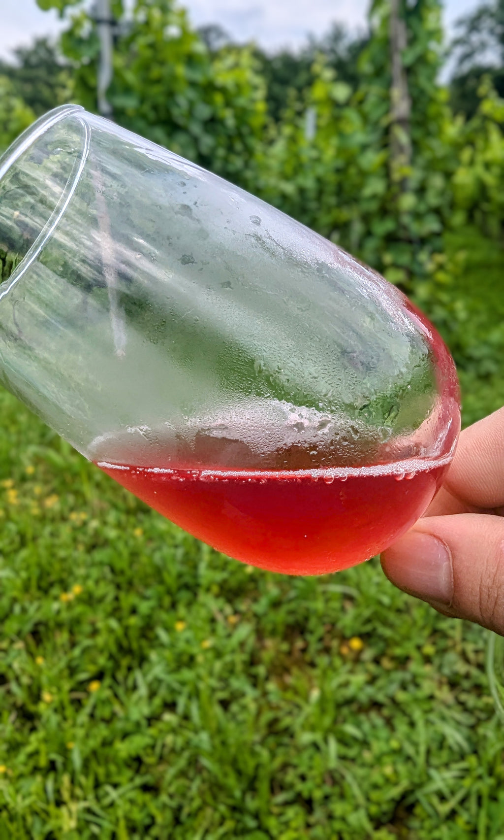 Pascal Treichler - Roter Rebell 2023