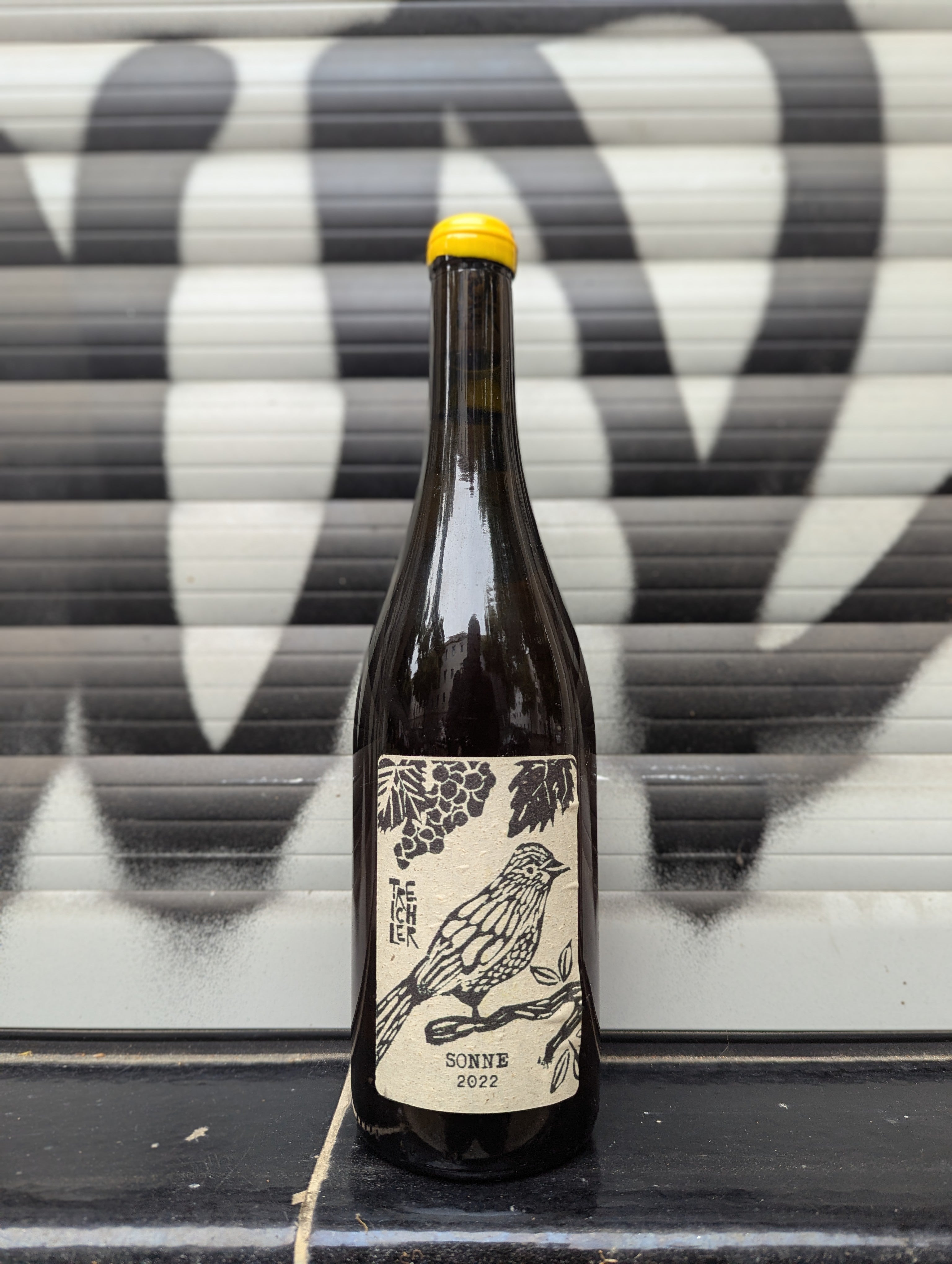 Pascal Treichler - Sonne 2022